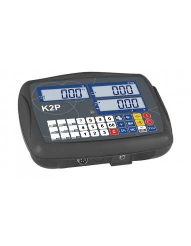 INDICADOR VERIFICABLE K2P